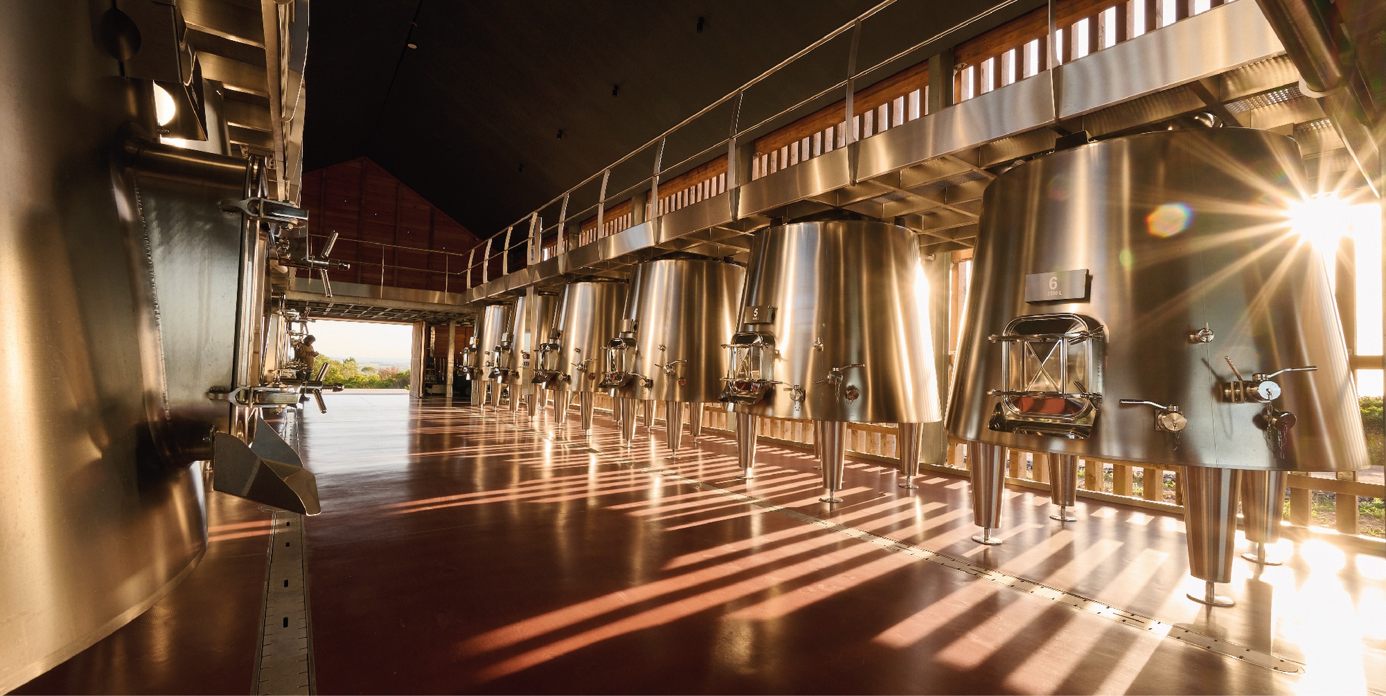 Descubrí Bodega Las Espinas 