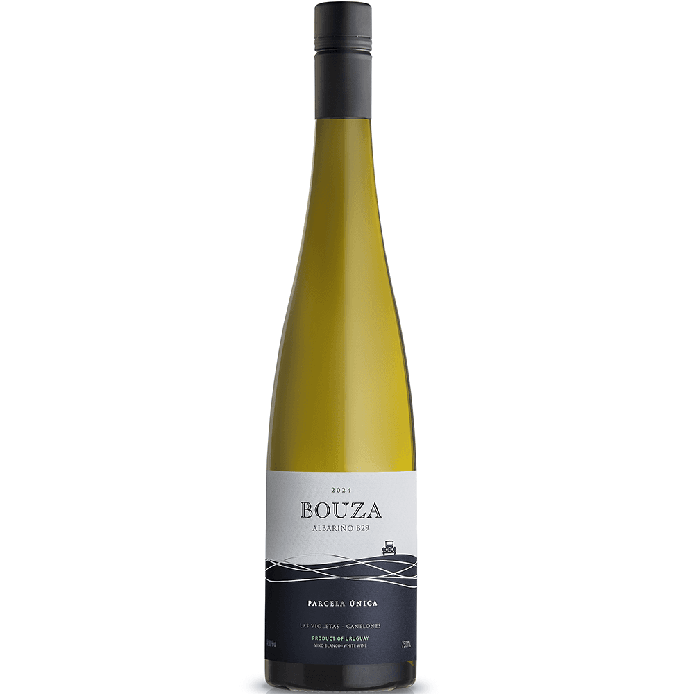 Albariño Parcela Única B29