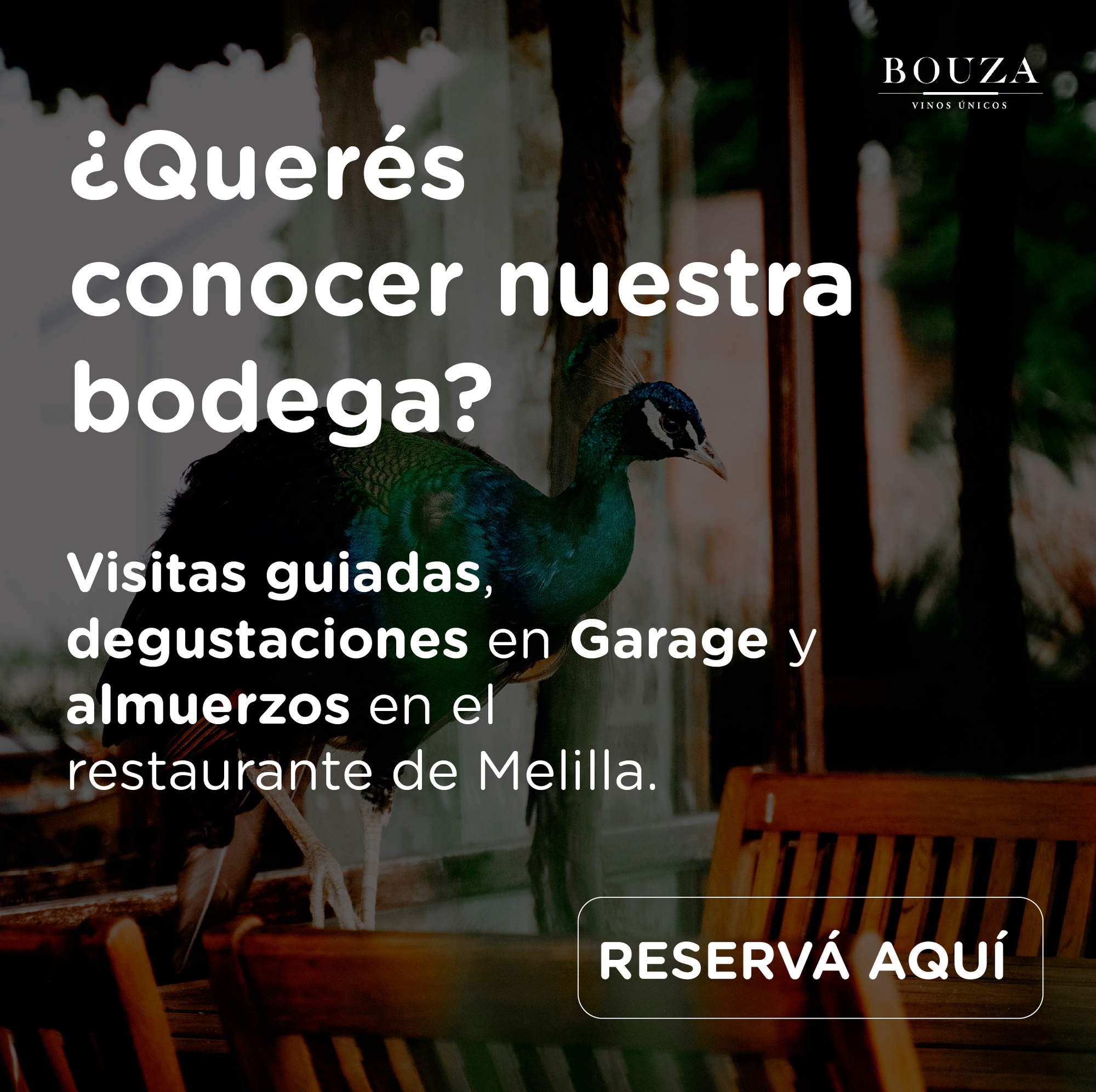 Reservá aquí