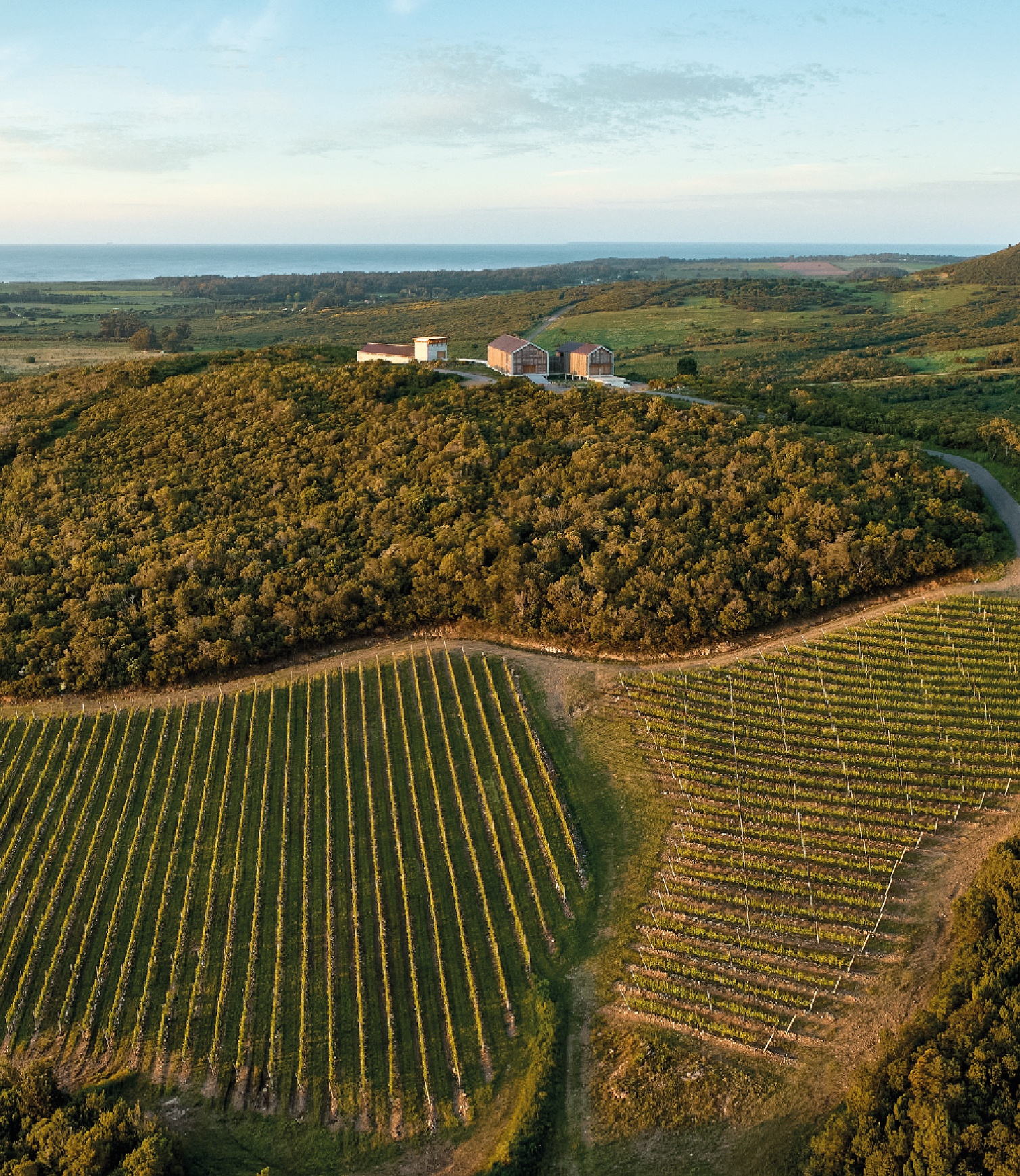 BOUZA Bodega las espinas 
