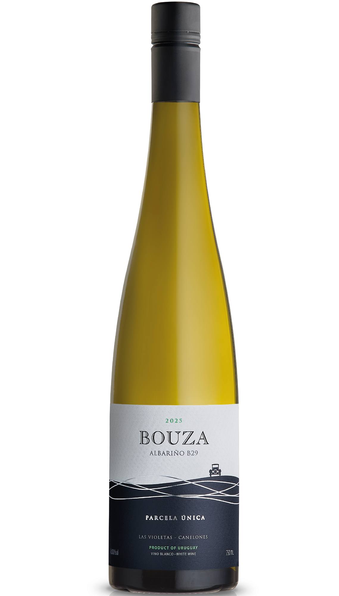 Albariño Parcela Única B29