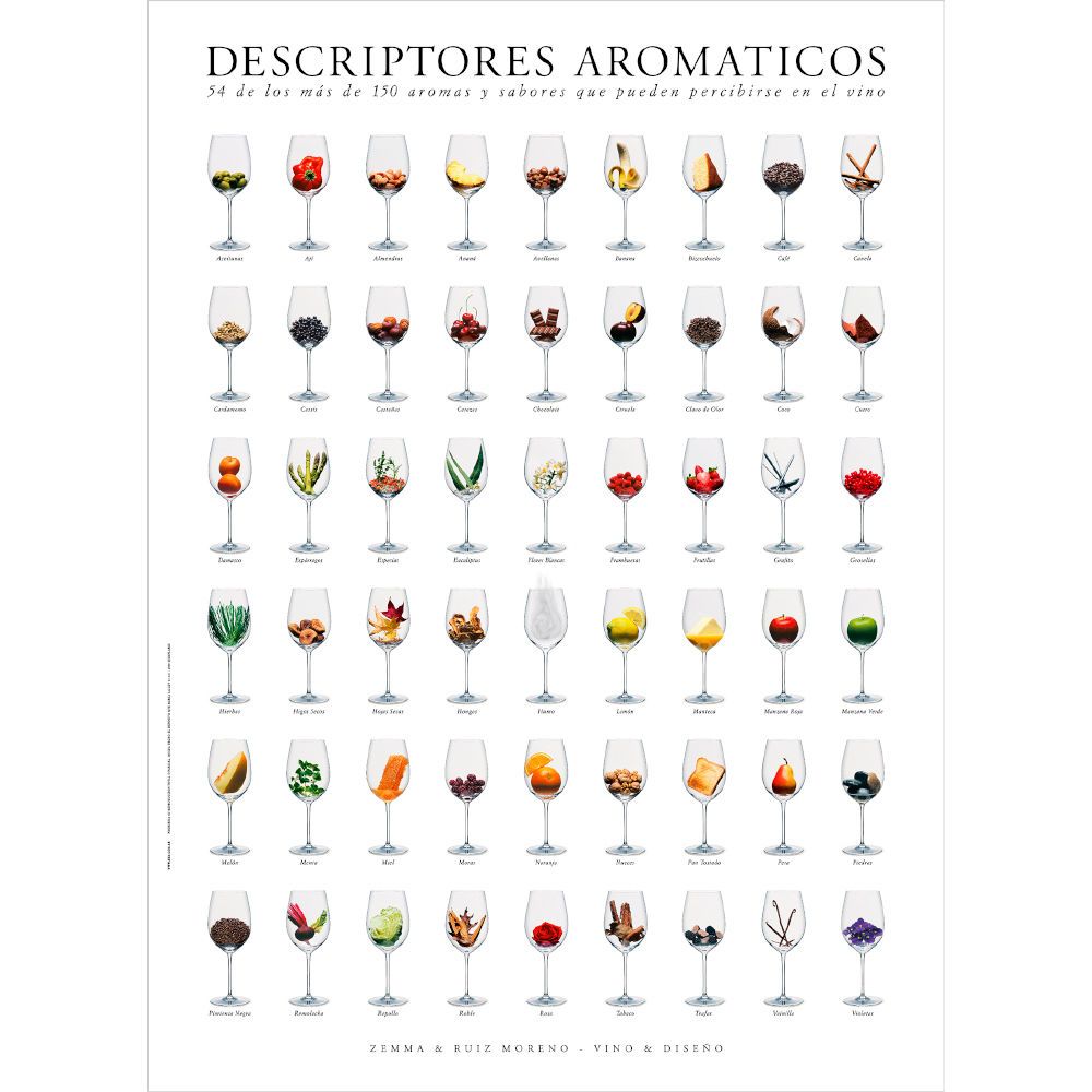 Lamina Descriptores