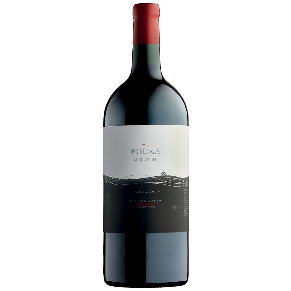 Merlot Parcela Única B9 Doble Magnum