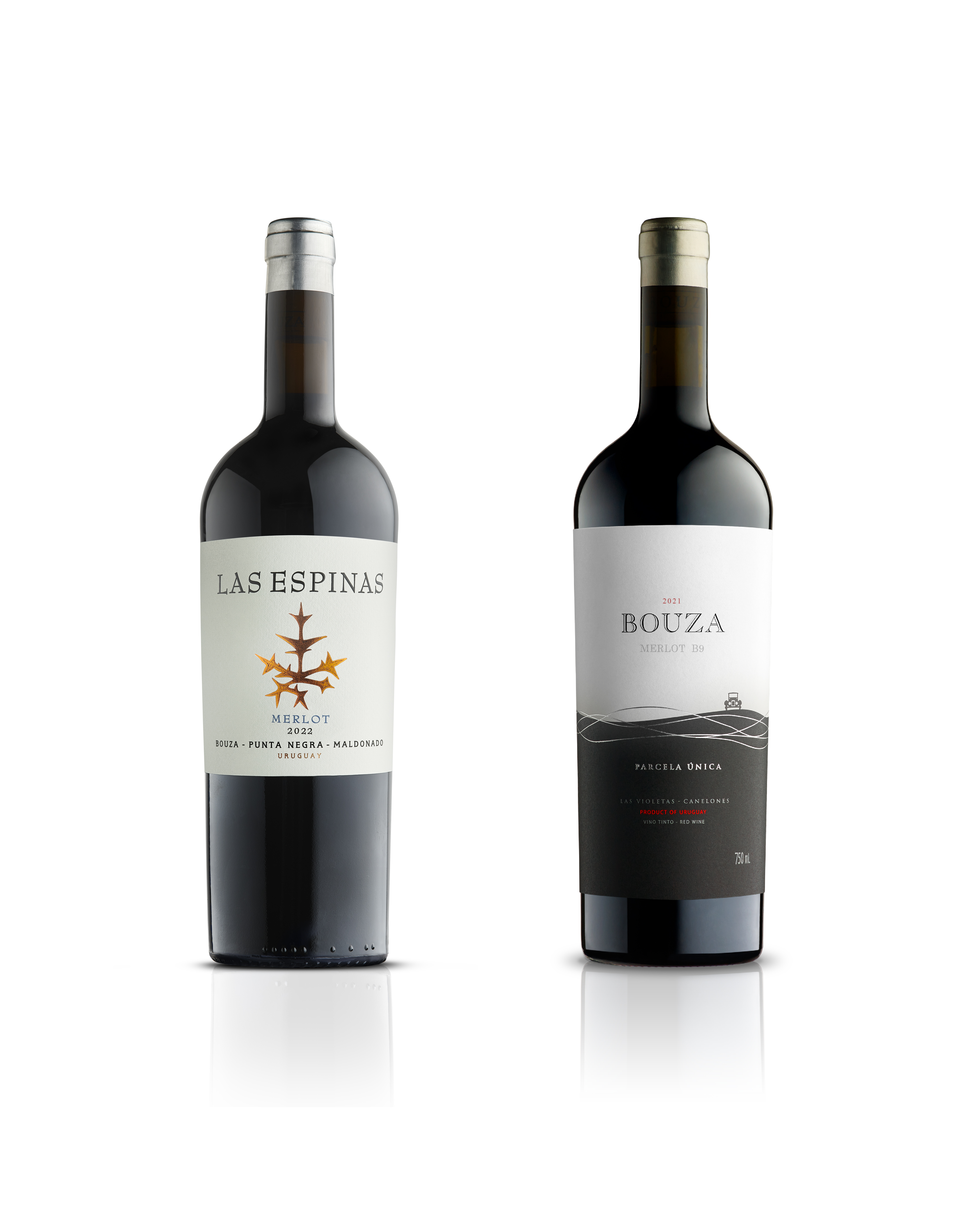 MERLOT PREMIOS.jpg?rev=a87ff679