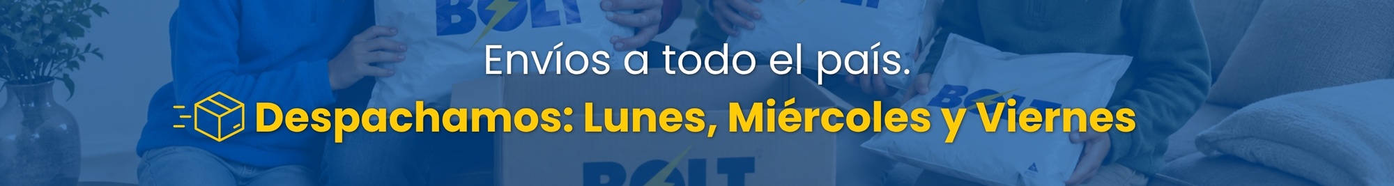 Bolt envios prueba