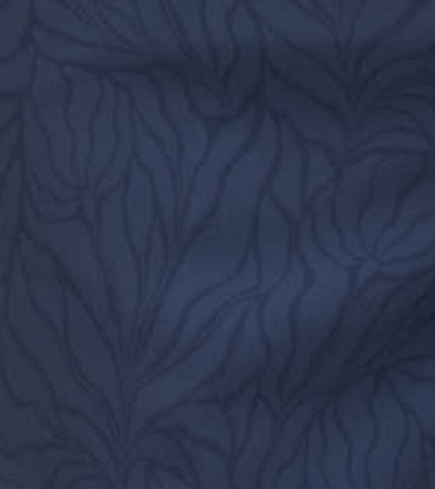 spec image
