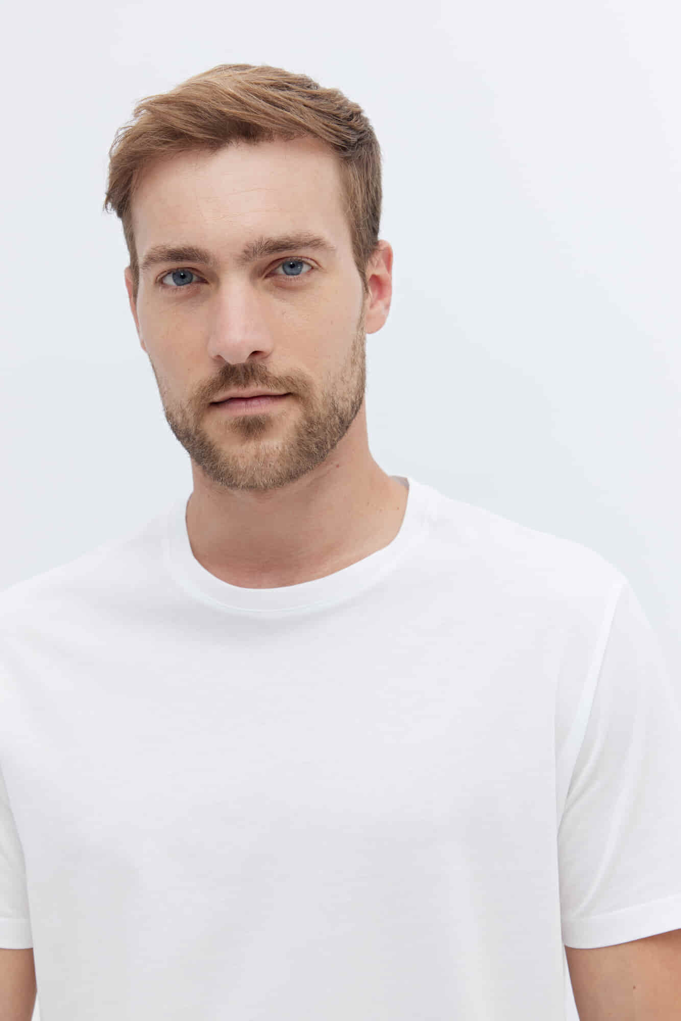 REMERA AMONIA