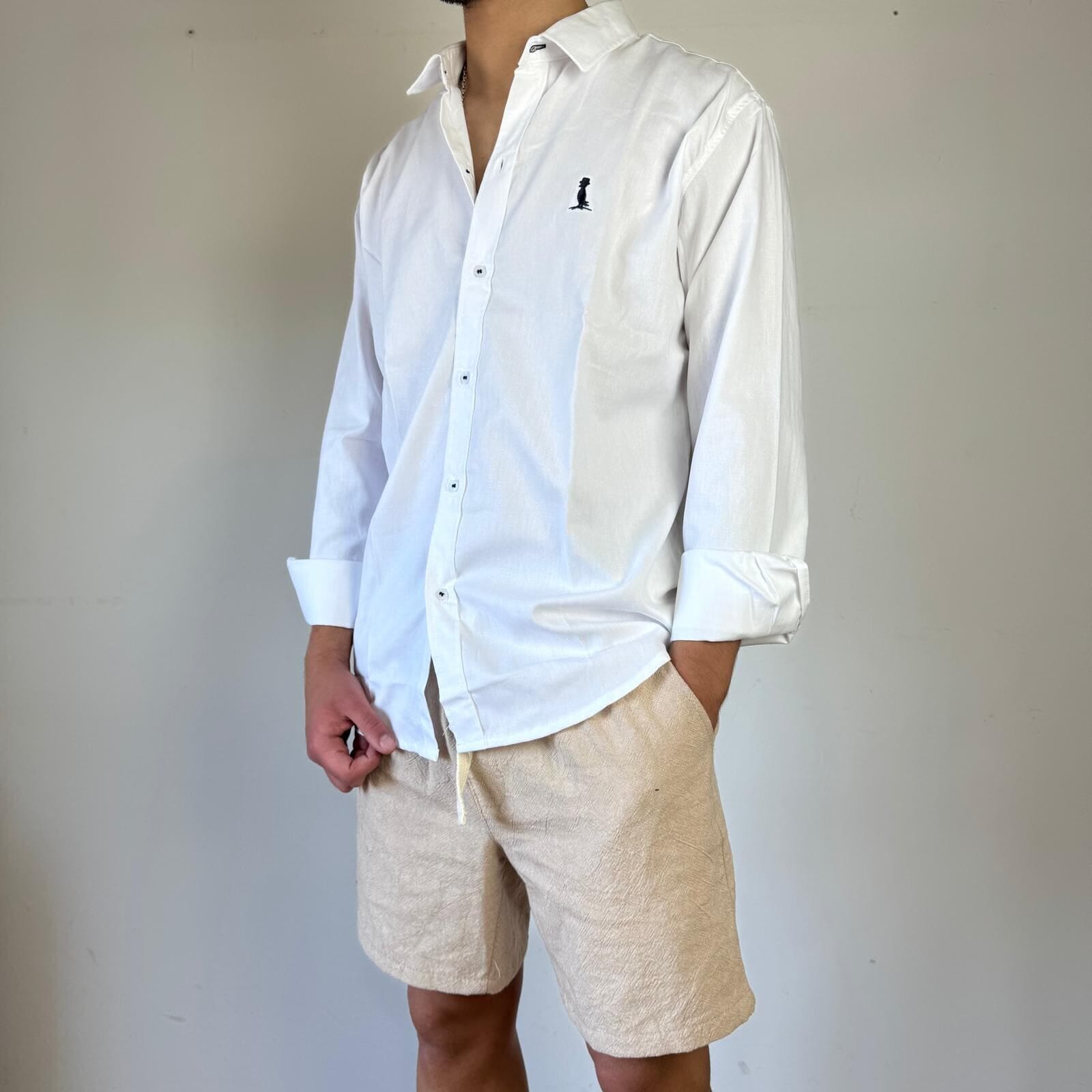 Camisa clasica