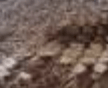 spec image