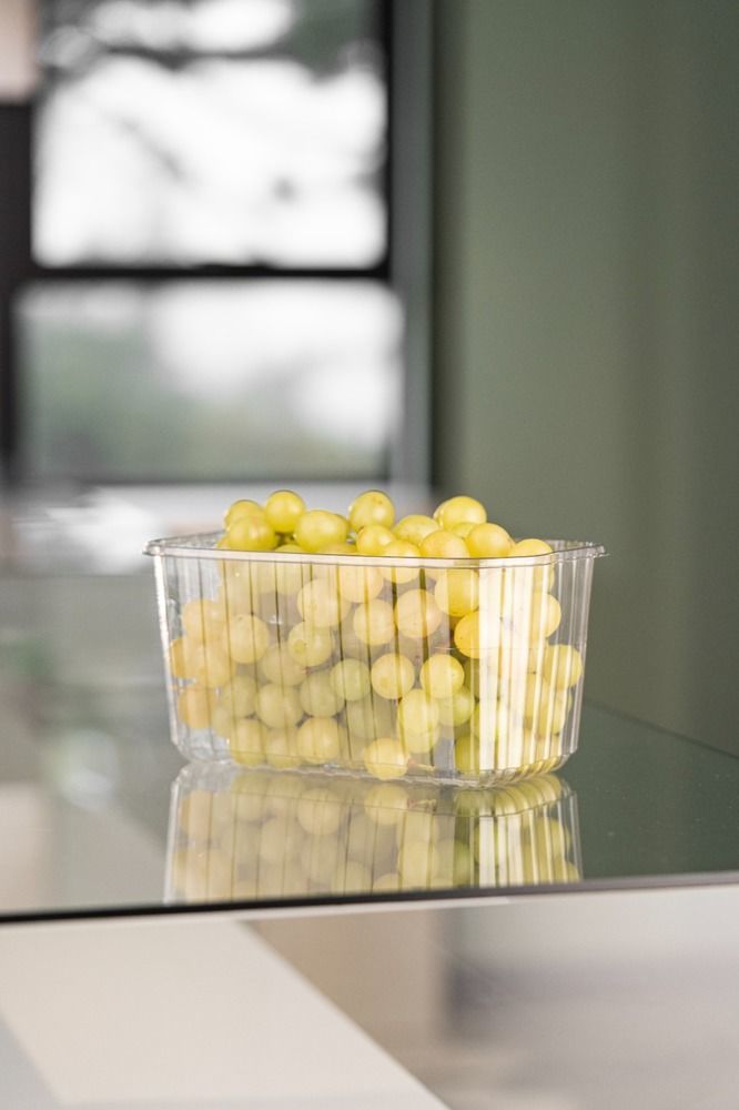 Estuche transparente para frutas con tapa 500 ml (22x13x11.5cm)