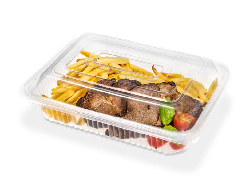 Estuche de polipropileno para alimentos 20 × 27 × 7 cm (sin tapa)