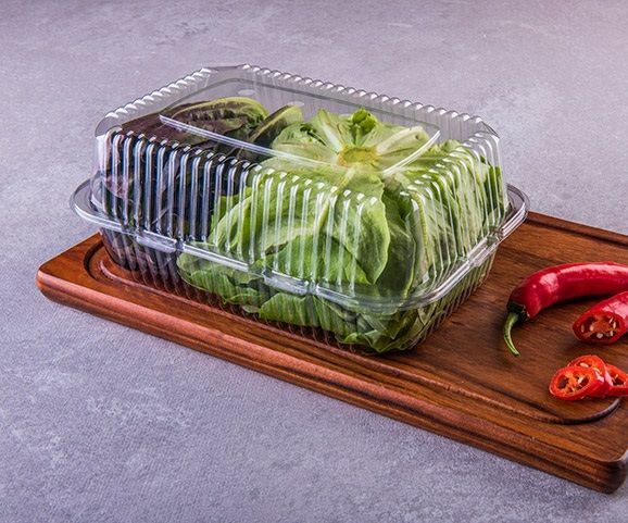 Estuche grande transparente ventilado para frutas/verduras (con tapa tipo bisagra, con perforaciones)