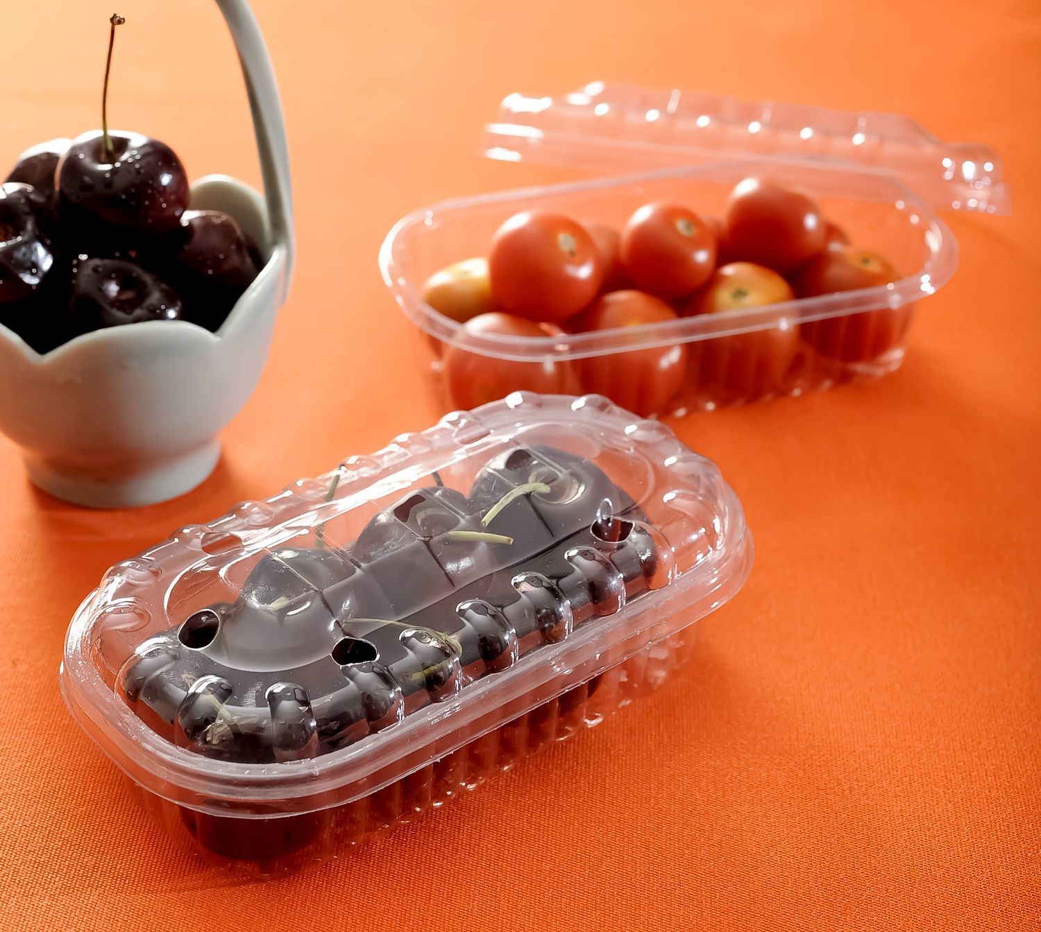 Estuche rectangular transparente multiuso con tapa (13x6.1x4.2cm)