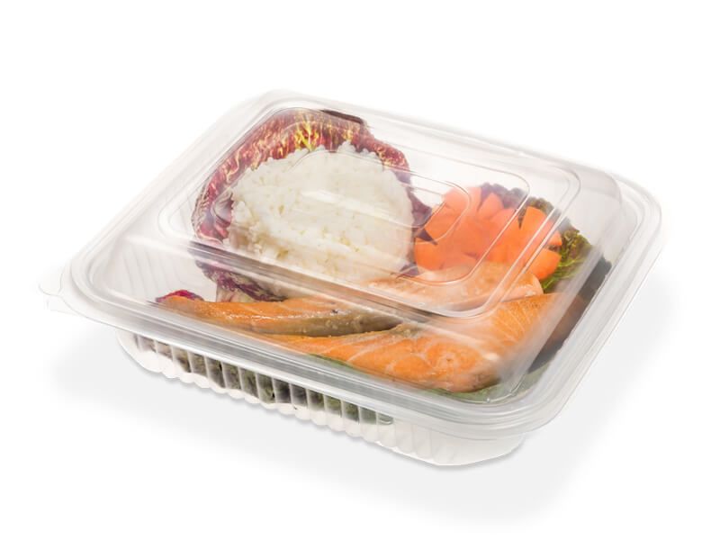 Estuche de polipropileno para alimentos 19,5 × 16,2 × 3,6 cm (sin tapa)