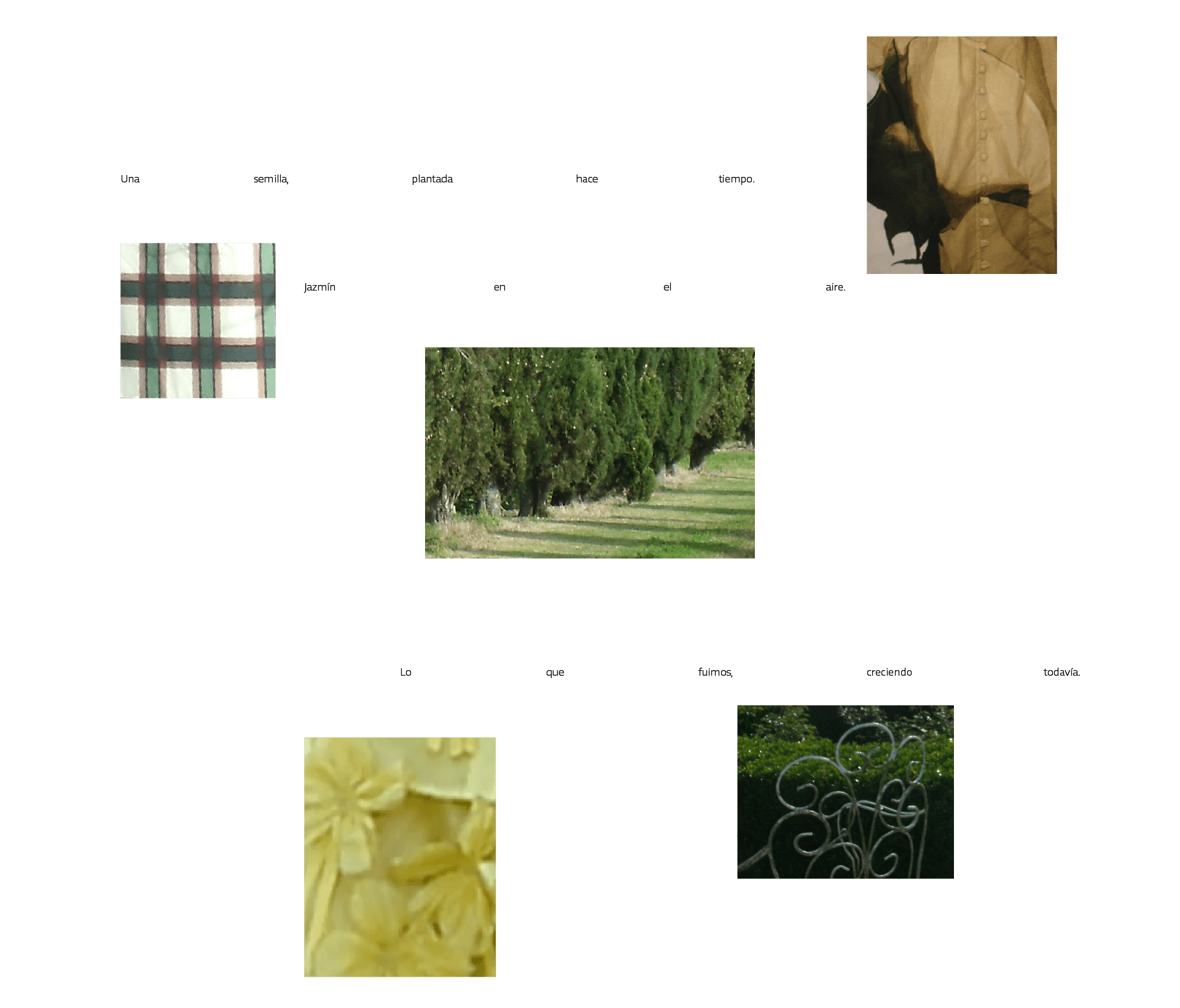 Celmo  Spring Composition