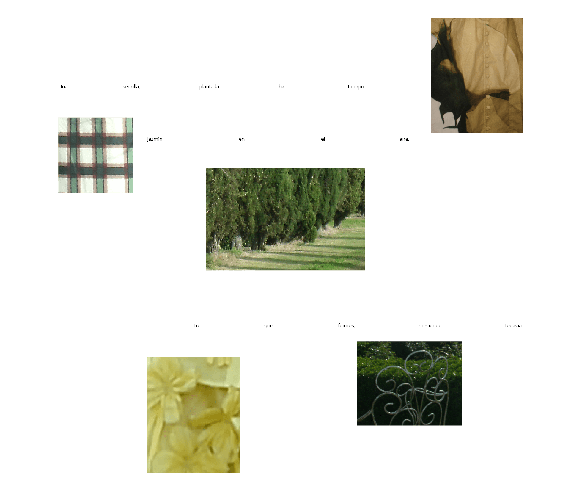 Celmo  Spring Composition