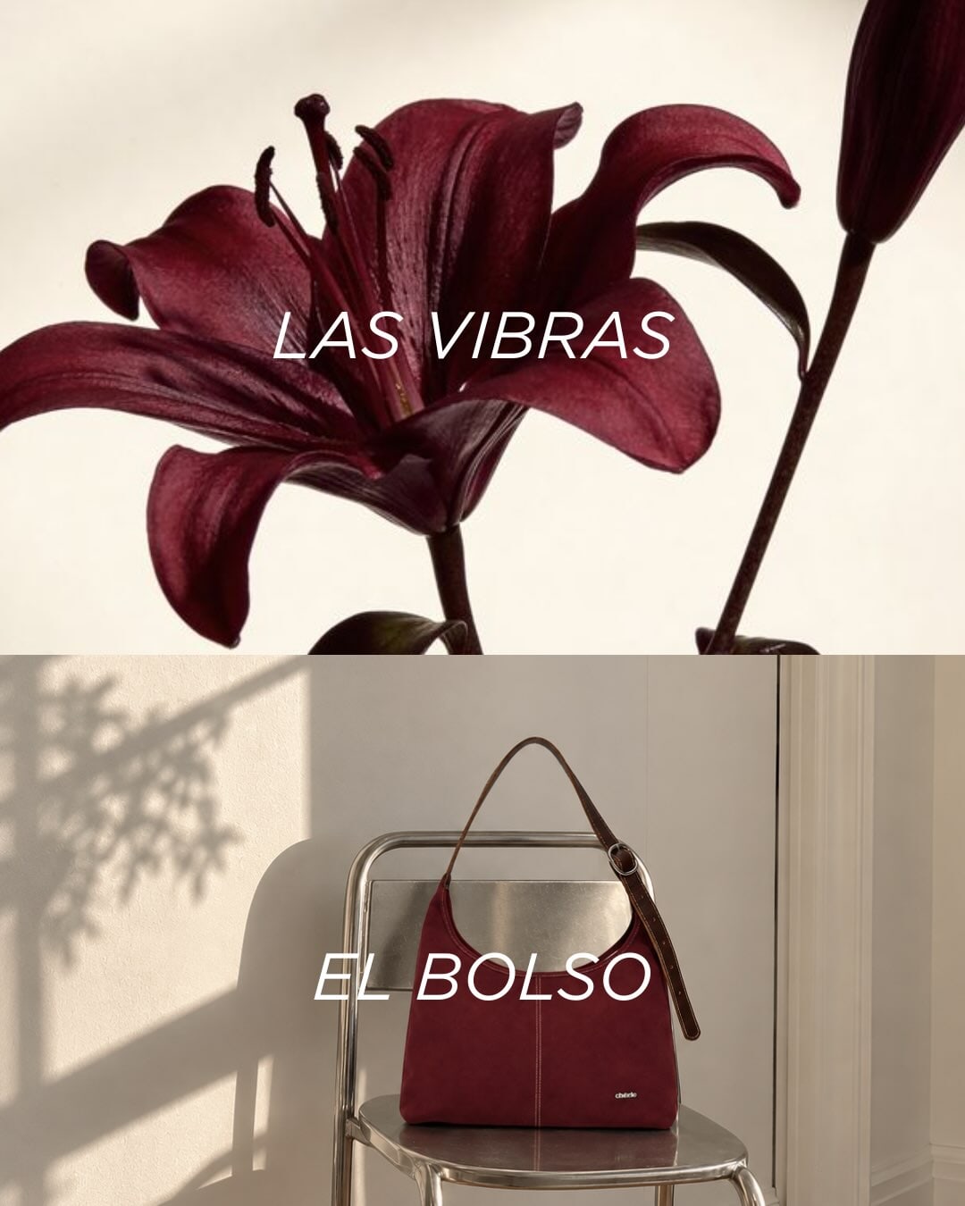 Imagen de posteo de Instagram