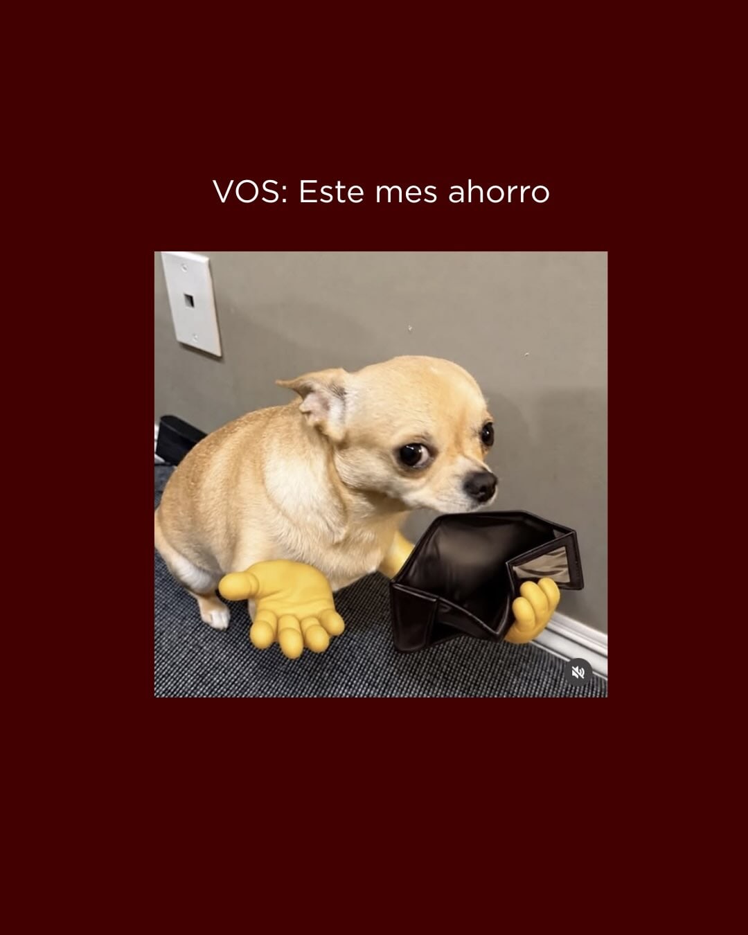 Imagen de posteo de Instagram