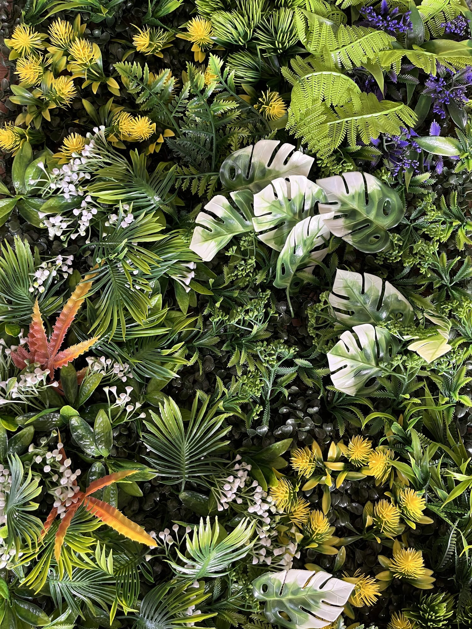 Jardín vertical Jacinto