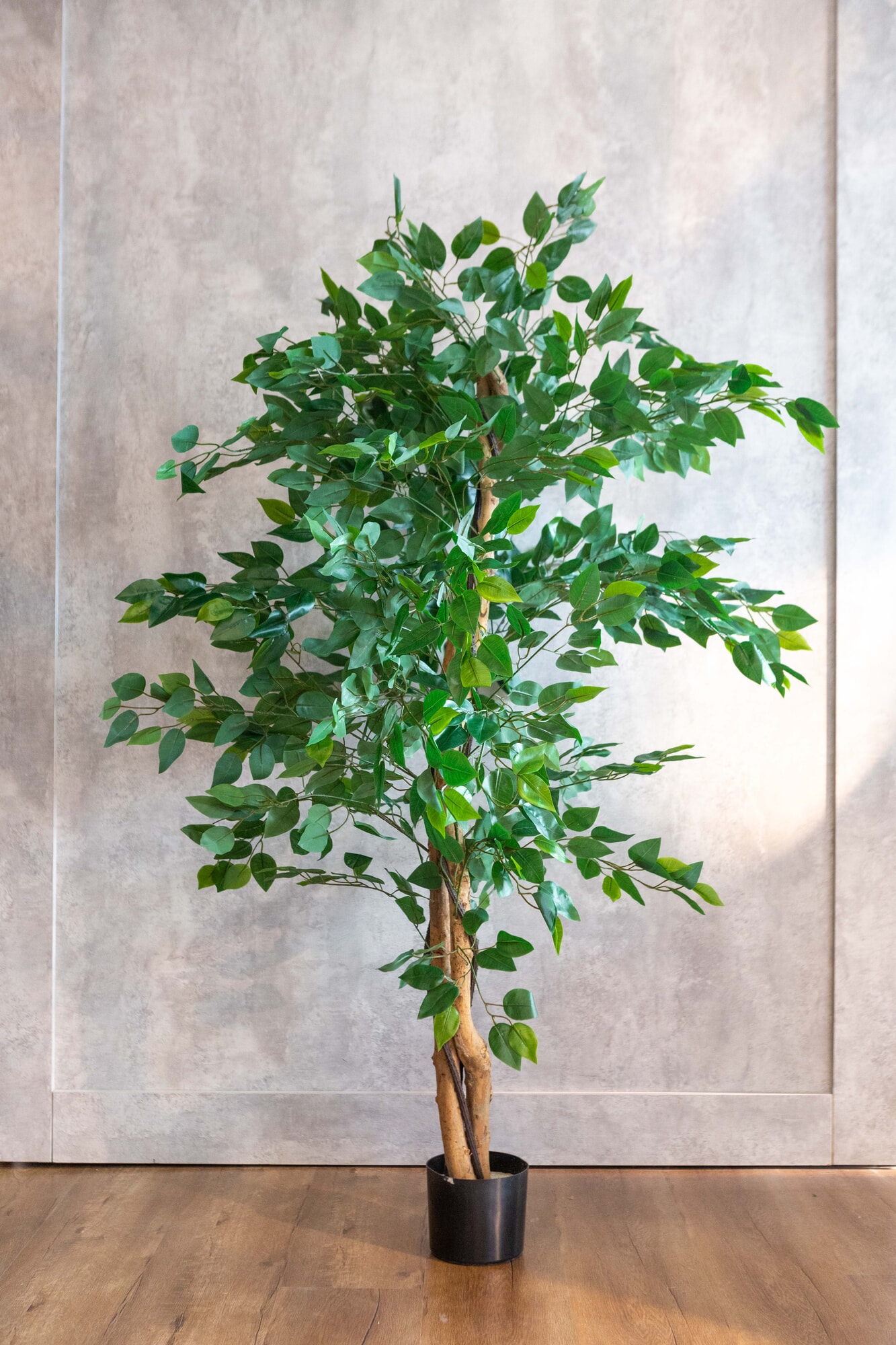 Planta artificial Ficus Benjamina Verde 150cm