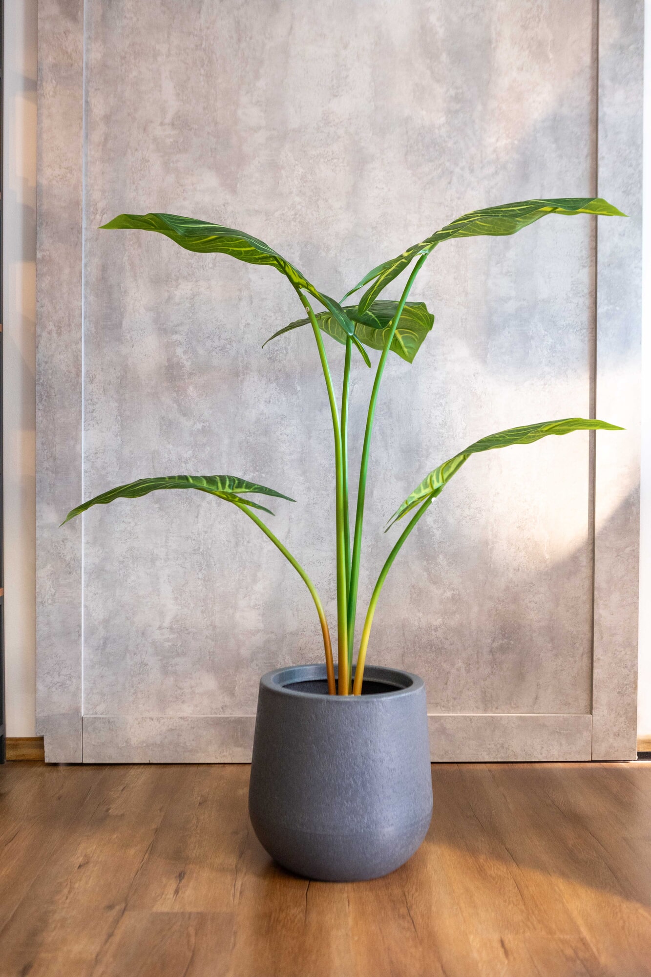 Planta artificial Taro 150cm