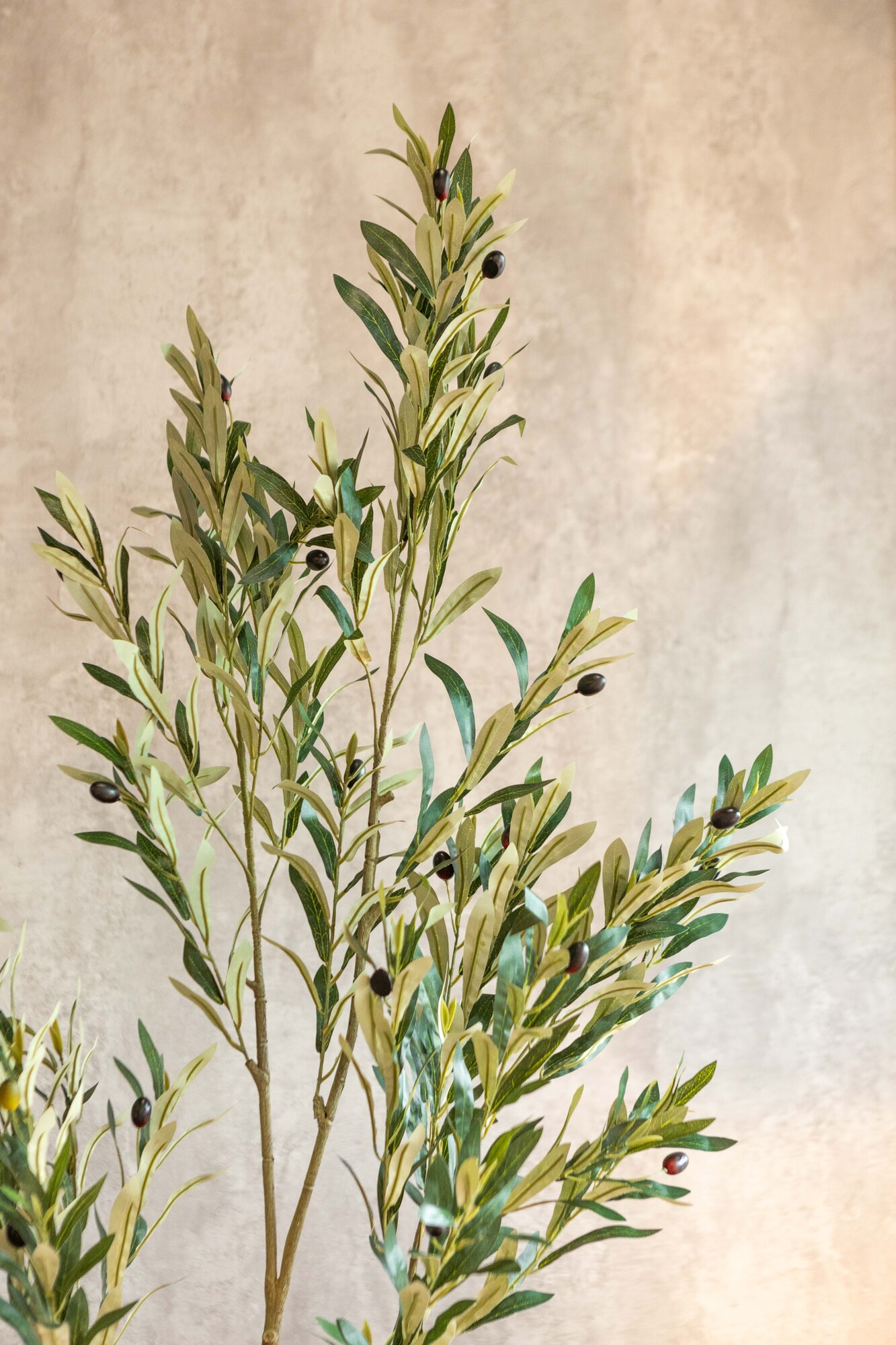 Planta artificial Olivo 180cm