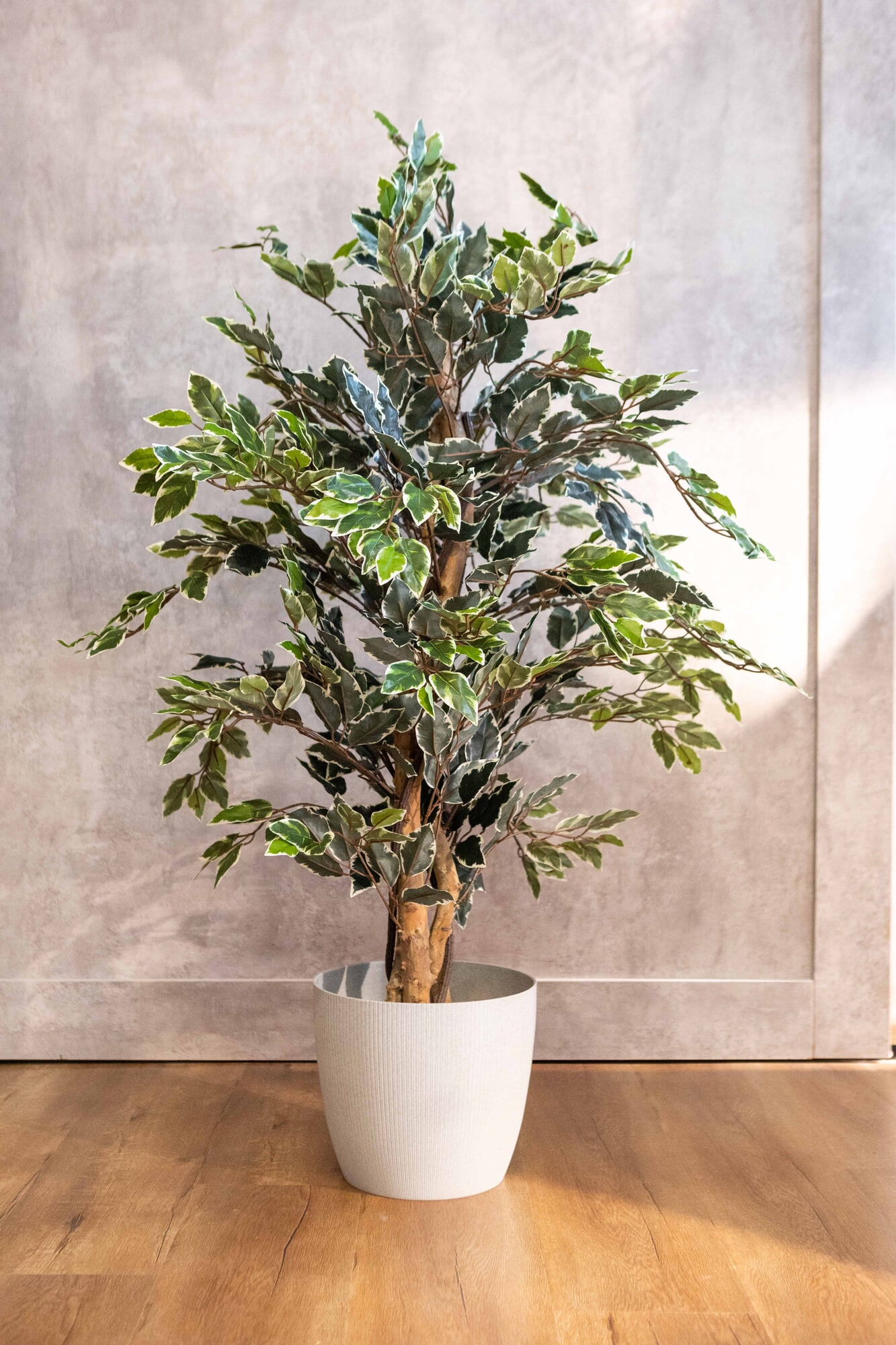 Planta artificial Ficus Benjamina 120cm