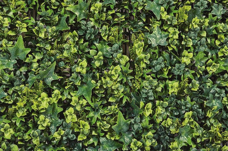 Jardín vertical Hedra