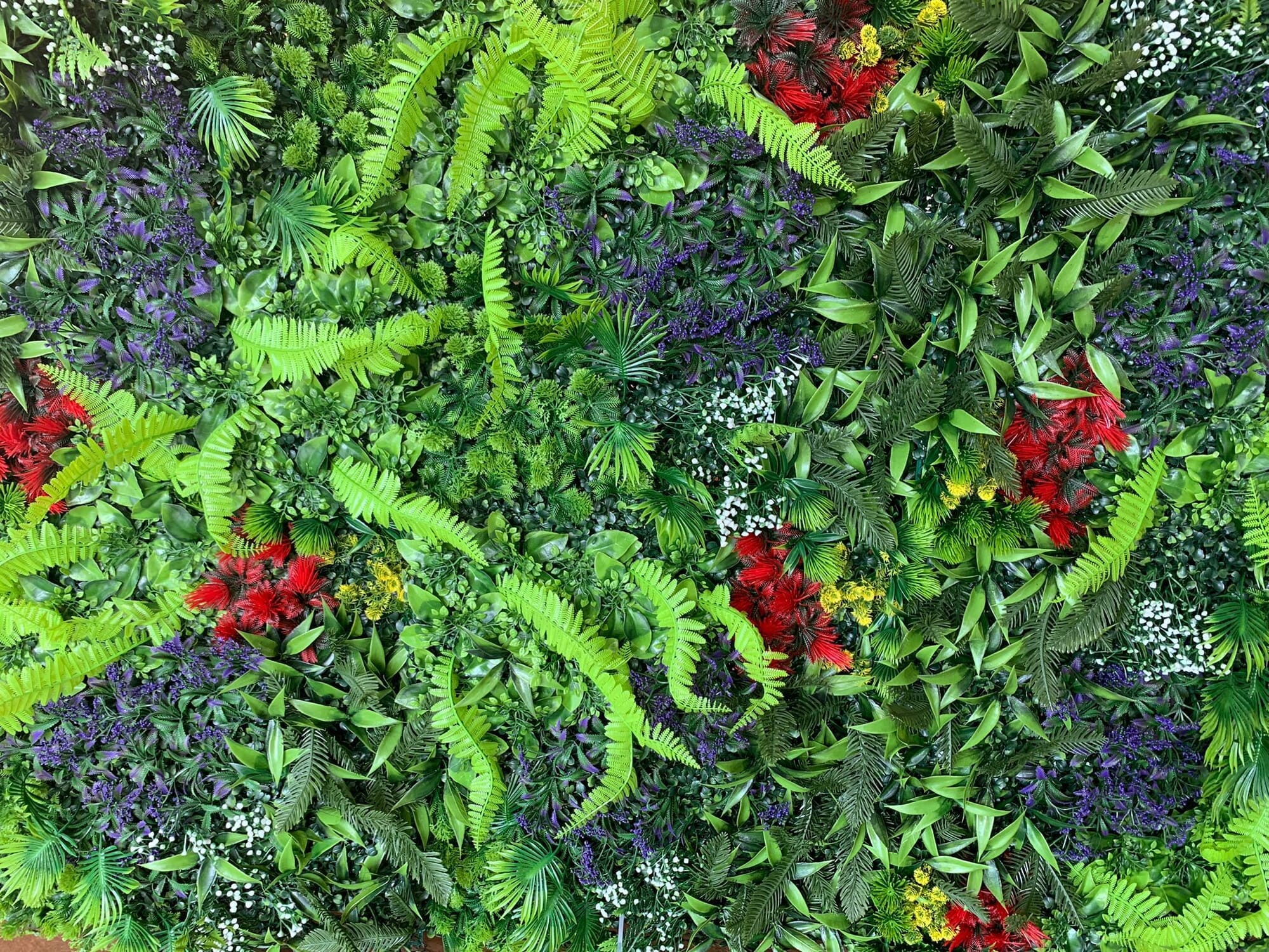 Jardín vertical Floresta
