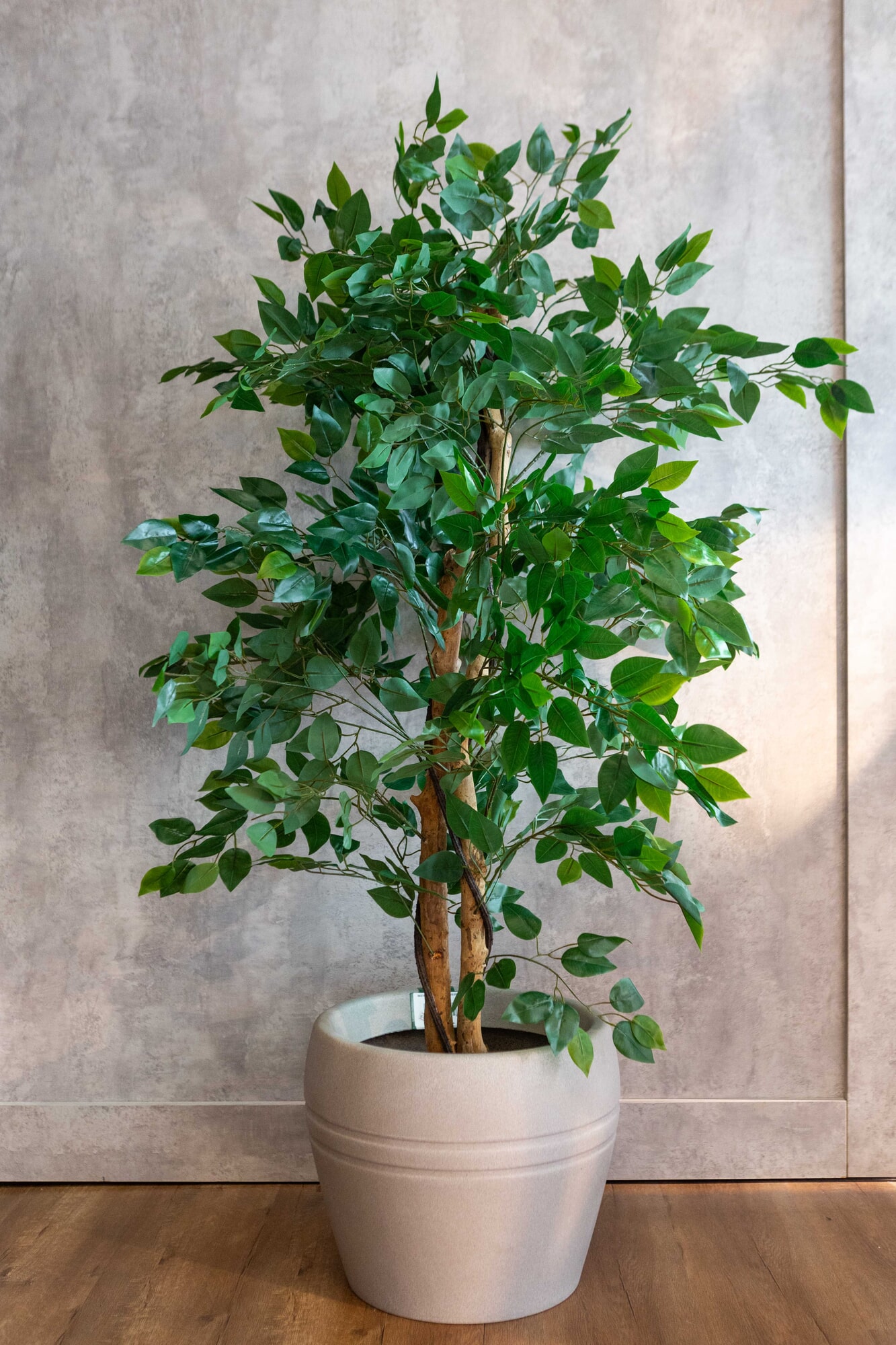 Planta artificial Ficus Benjamina Verde 150cm