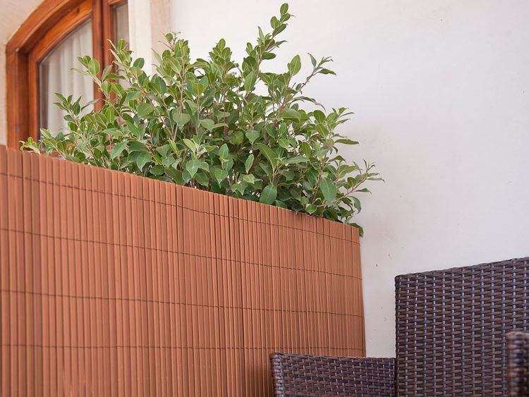 Cañizo de PVC Superior color teka