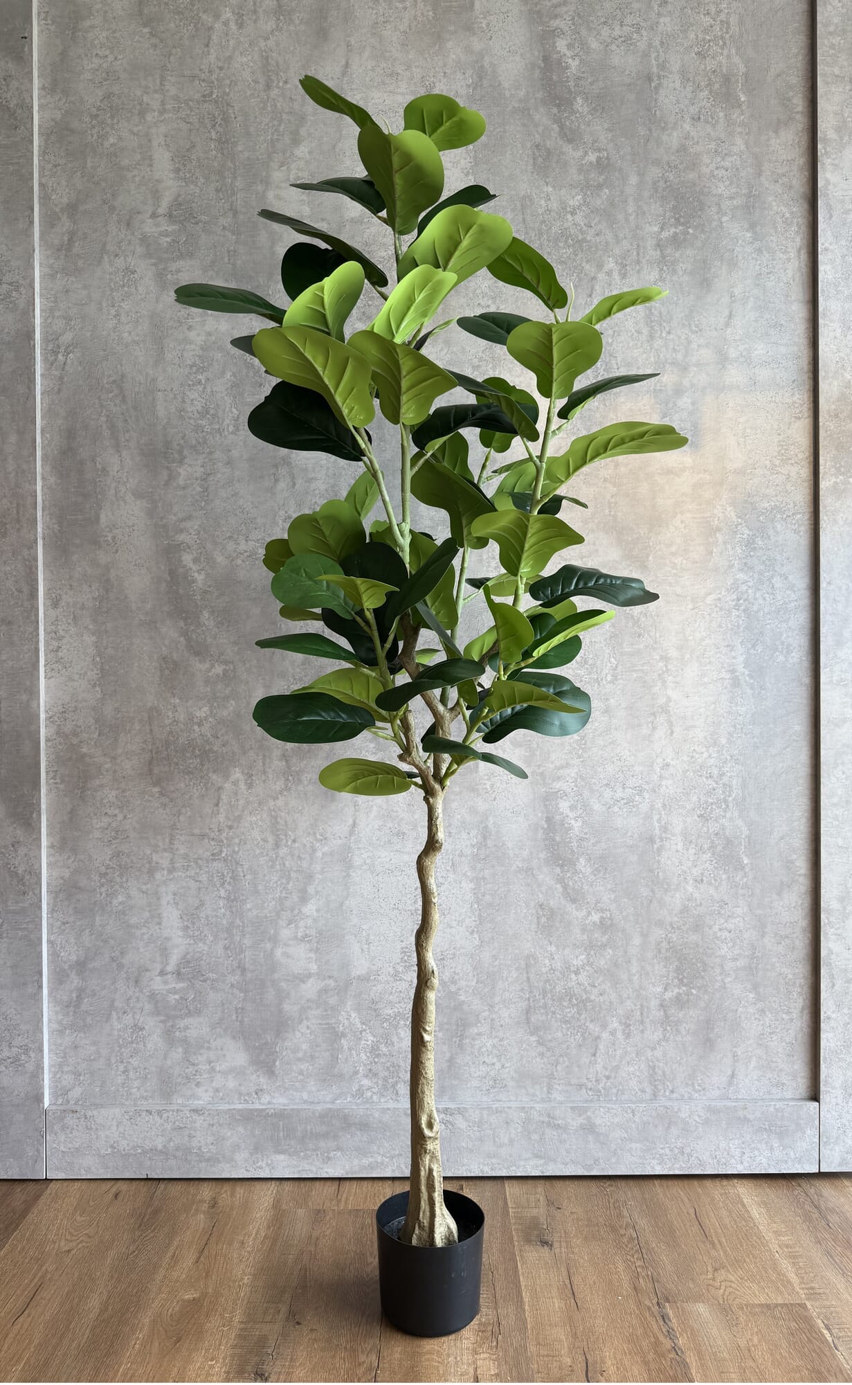 Planta artificial Ficus Lyrata 150cm