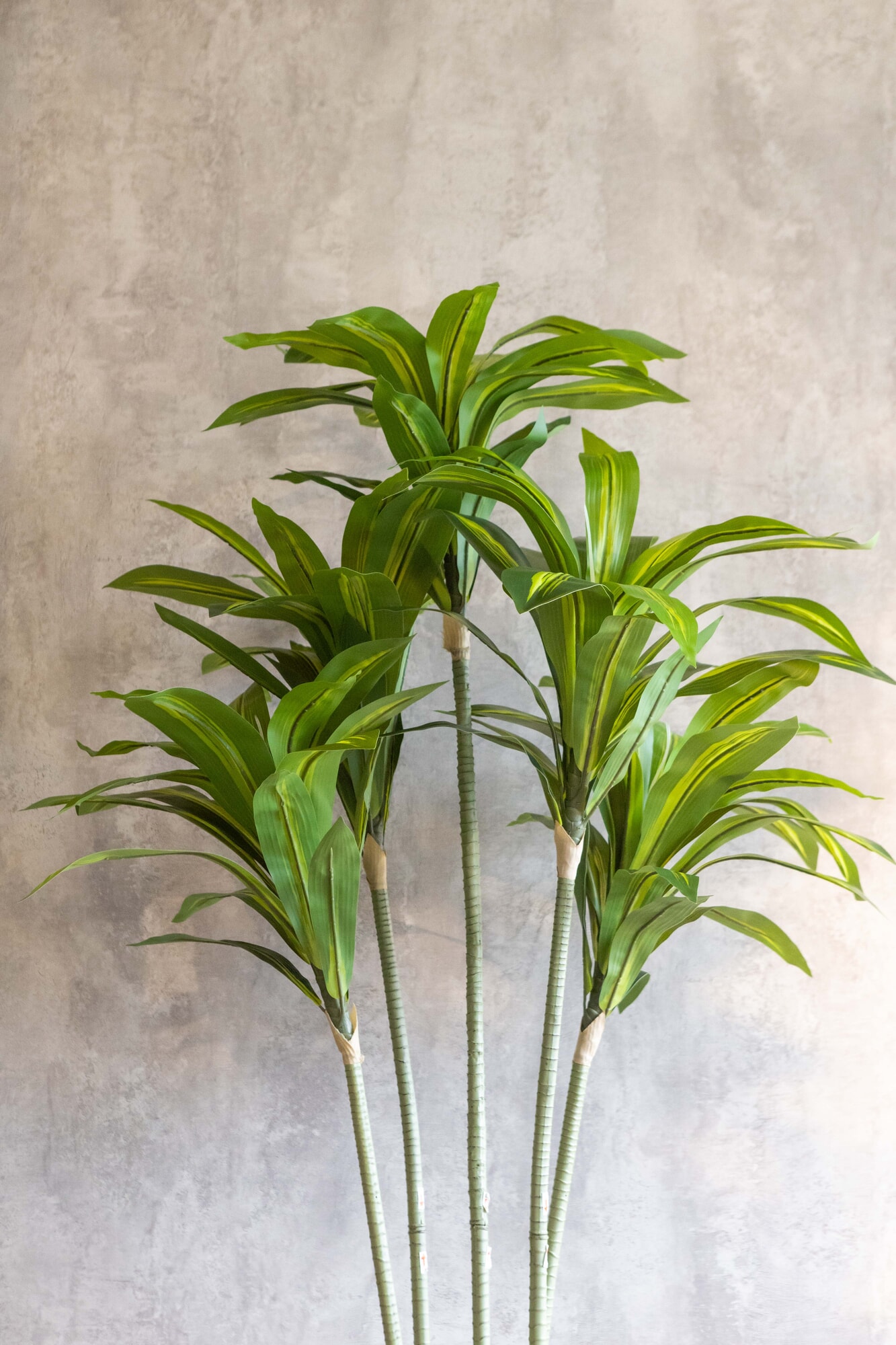 Planta artificial Dracaena Fragans 160cm