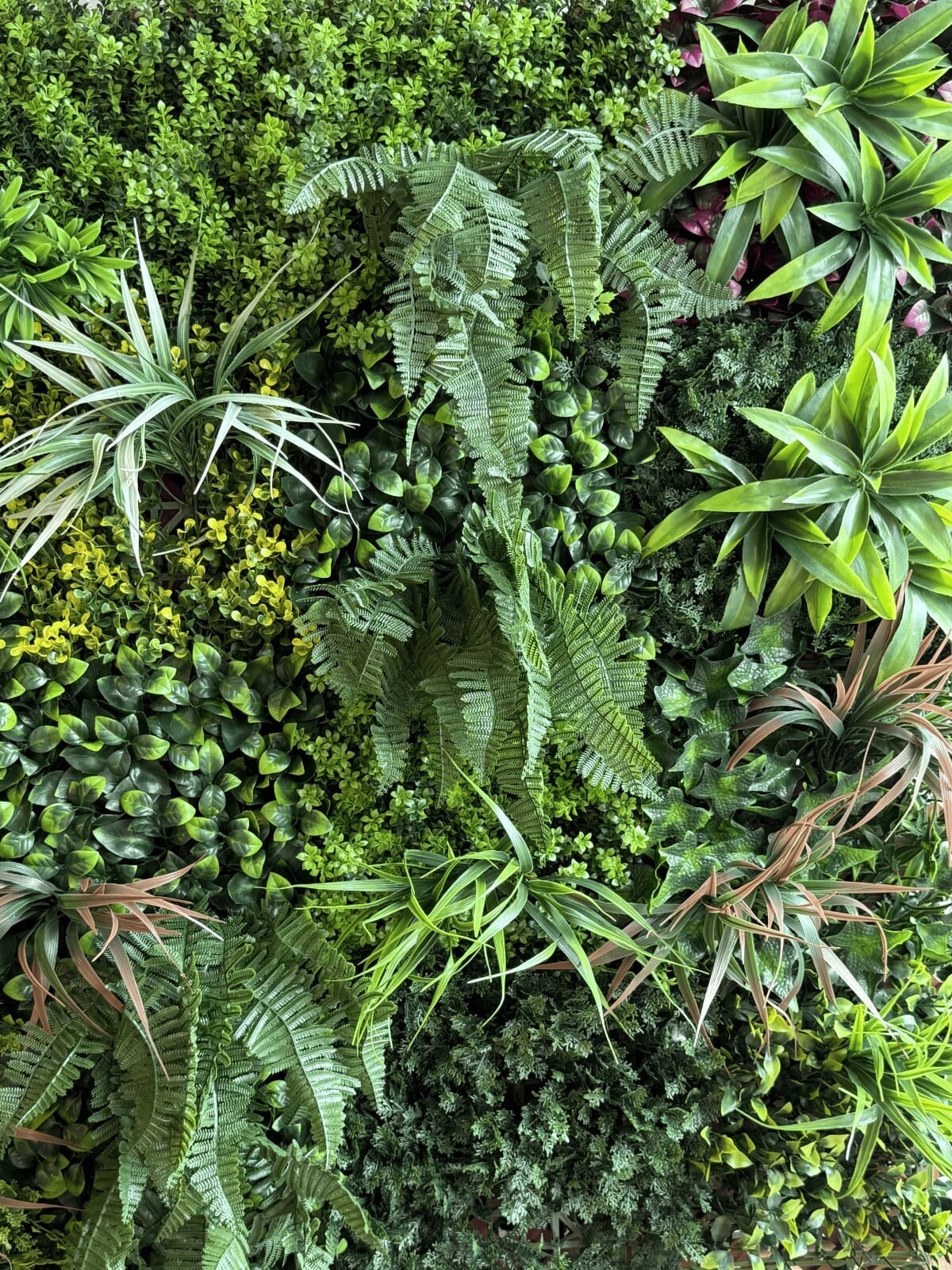 Jardín vertical Selva