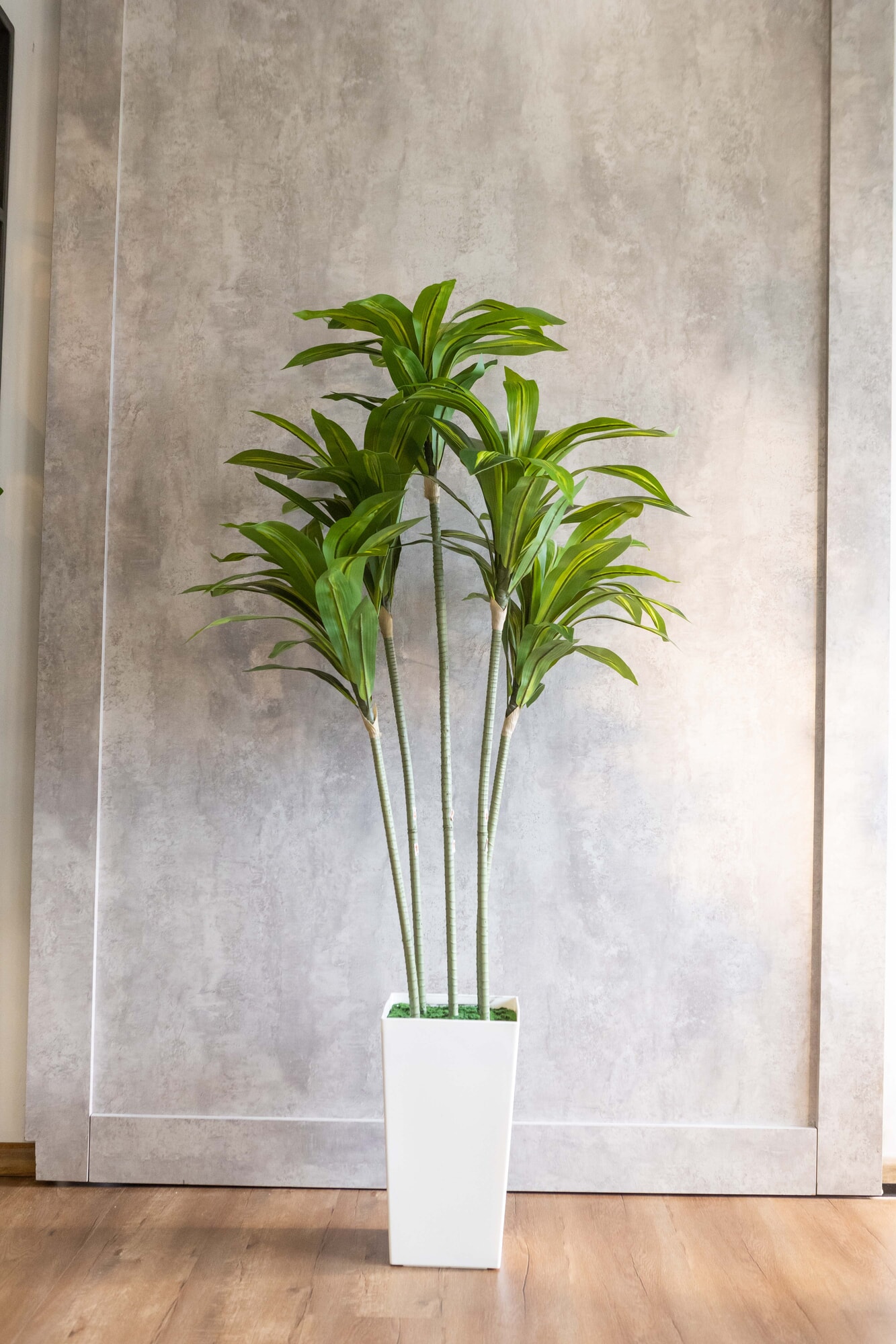 Planta artificial Dracaena Fragans 160cm