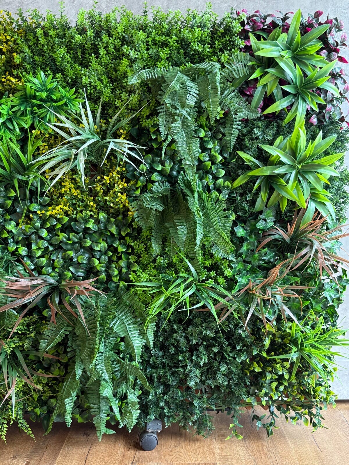 Jardín vertical Selva