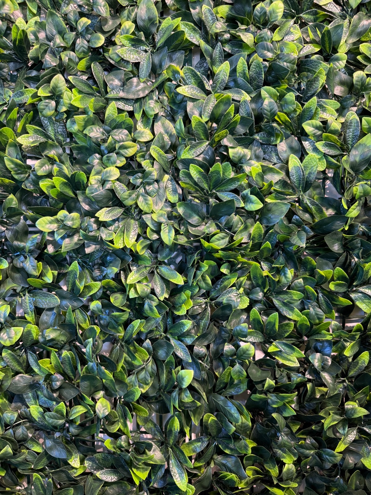 Jardín vertical Verdana