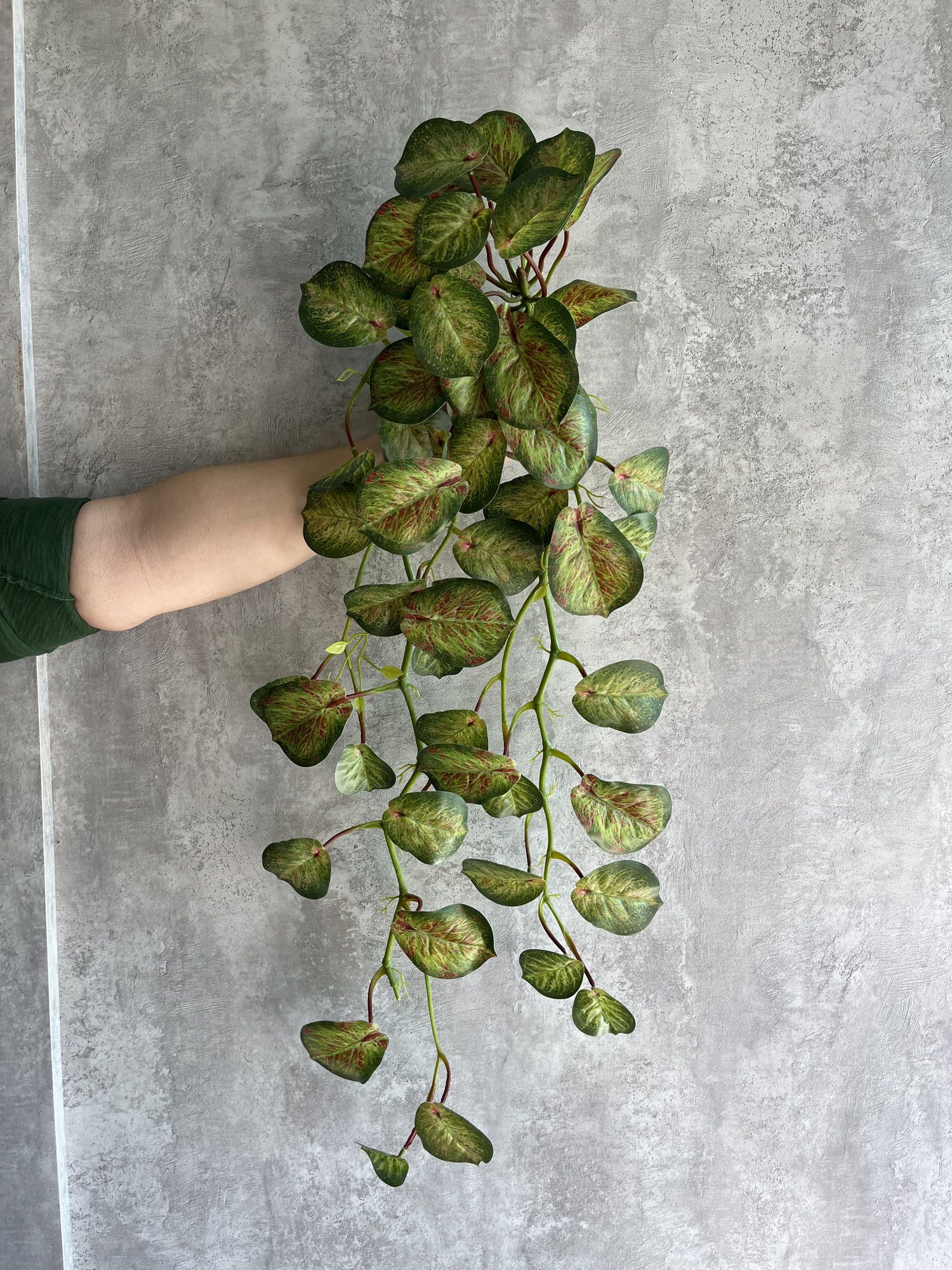 Hiedra artificial Marsella