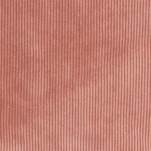 PAN11