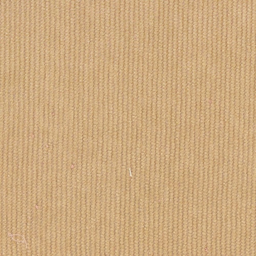 PAN10