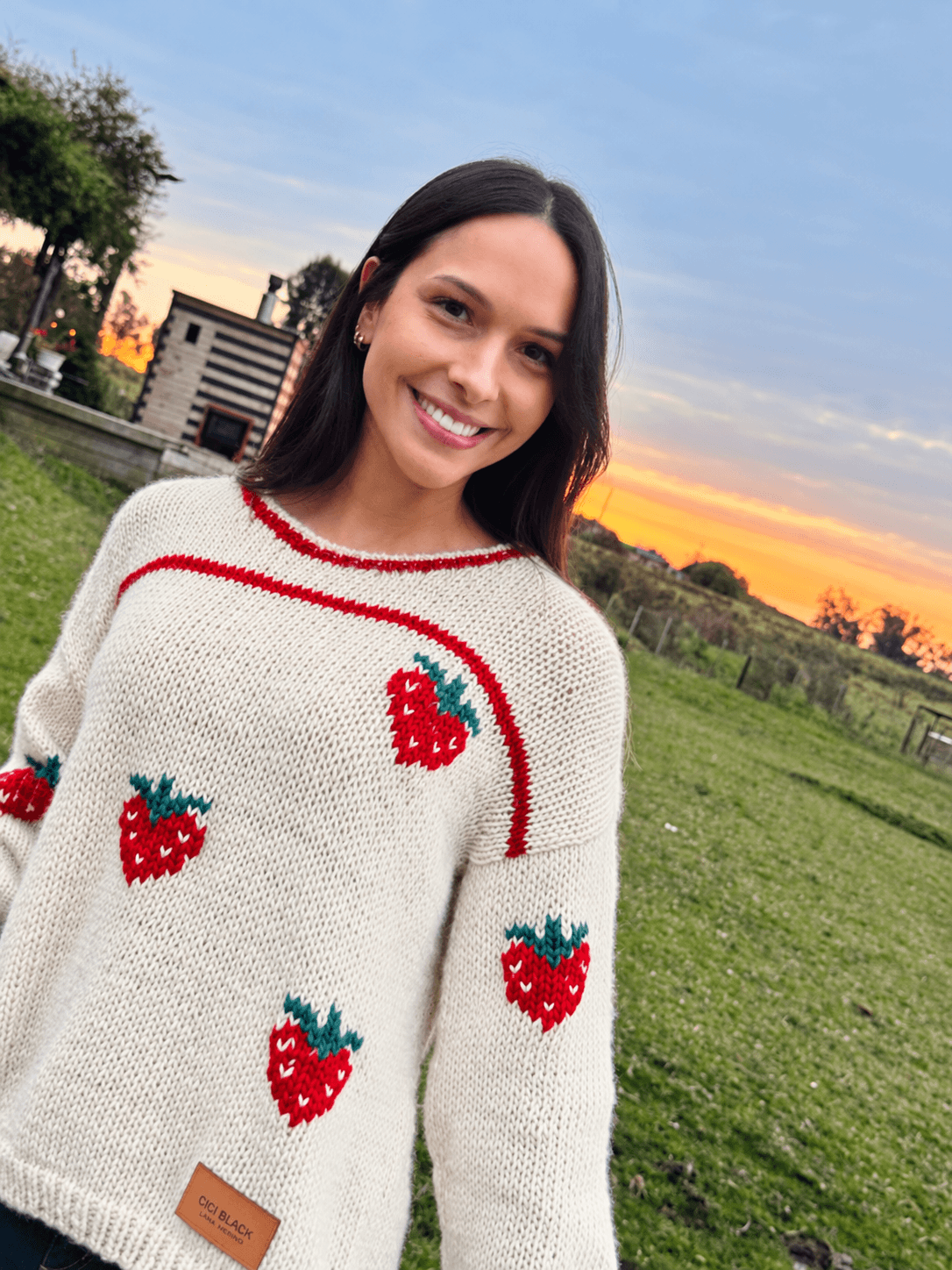 Sweater Strawberries Lana Merino