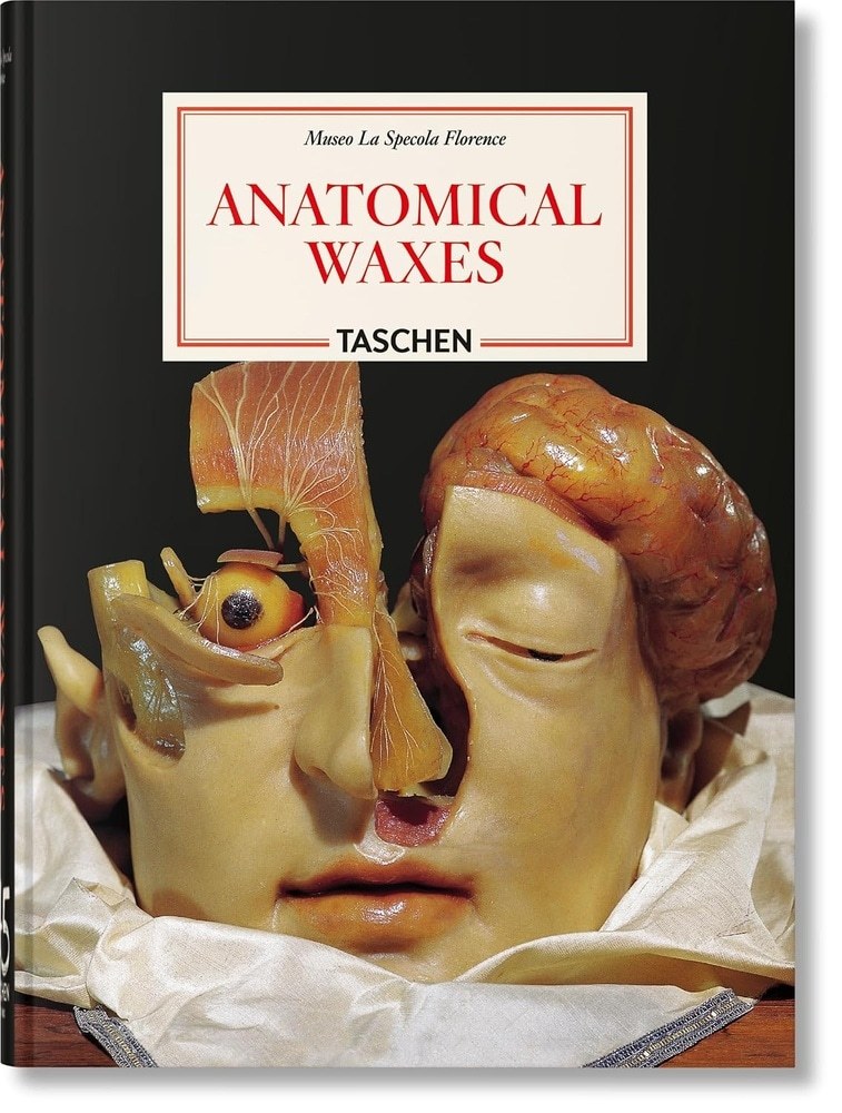 ANATOMICAL WAXES