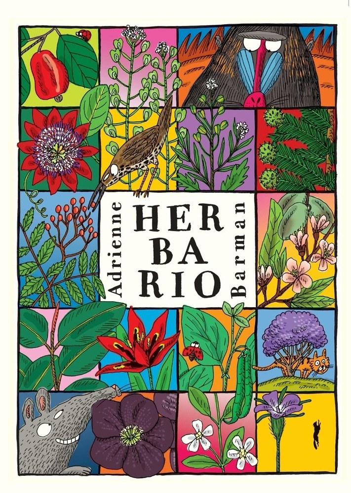 HERBARIO (Nuevo)