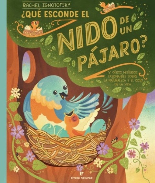 QUE ESCONDE EL NIDO DE UN PAJARO?