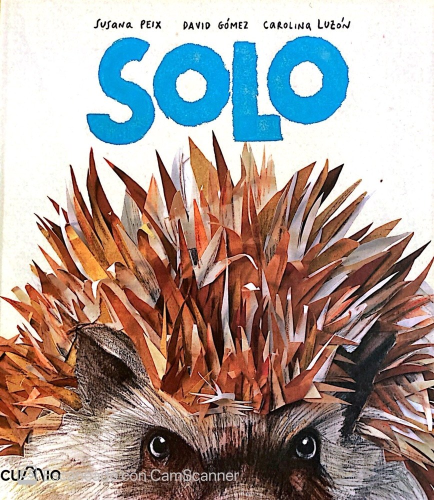 SOLO (Nuevo)