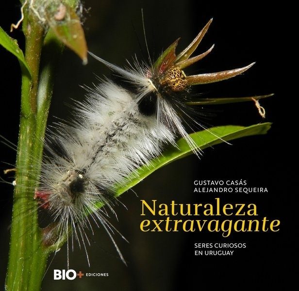 NATURALEZA EXTRAVAGANTE