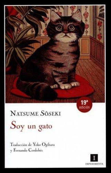 SOY UN GATO (Nuevo)