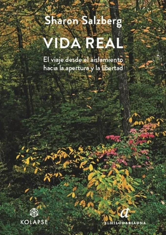 VIDA REAL (Nuevo)