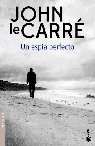 UN ESPÍA PERFECTO