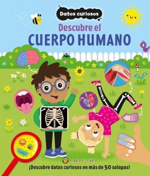 DATOS CURIOSOS-CUERPO HUMANO